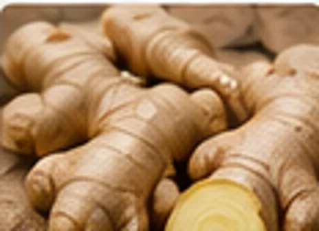 Fresh ginger root, realistic ingredient photo